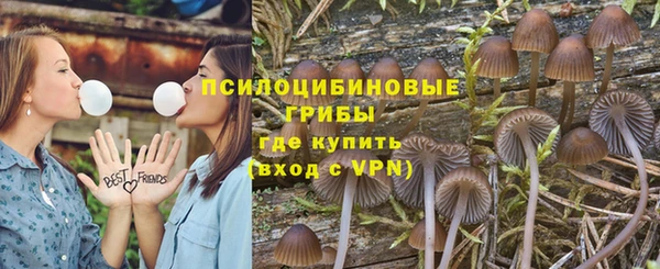 стаф Алексин