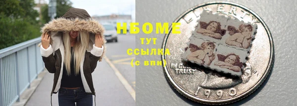 стаф Алексин