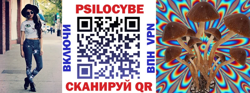 Псилоцибиновые грибы Psilocybine cubensis  цены наркотик  Сусуман 