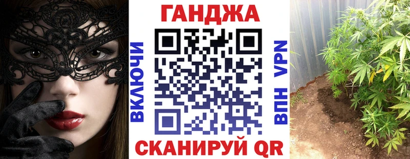 Бошки марихуана сатива  продажа наркотиков  Сусуман 